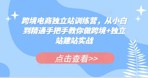 跨境电商独立站训练营，从小白到精通手把手教你做跨境+独立站建站实战-E六资源