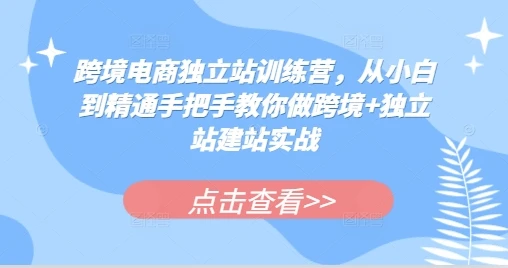 图片[1]-跨境电商独立站训练营，从小白到精通手把手教你做跨境+独立站建站实战-E六资源