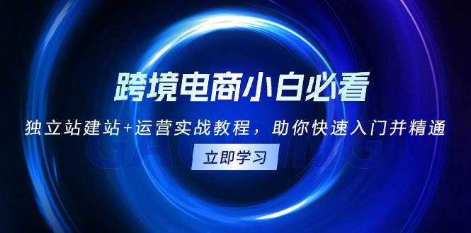 跨境电商小白必看！独立站建站+运营实战教程，助你快速入门并精通-E六资源