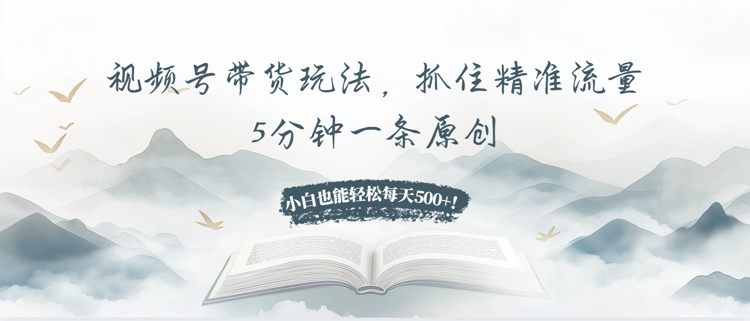 视频号带货玩法，抓住精准流量，5分钟一条原创，小白也能轻松每天500+！-E六资源