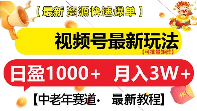 图片[1]-视频号新玩法 中老年赛道 月入3W+-E六资源