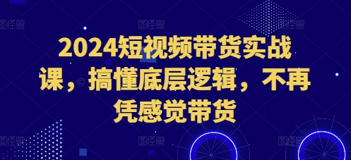 2024短视频带货实战课，搞懂底层逻辑，不再凭感觉带货-E六资源