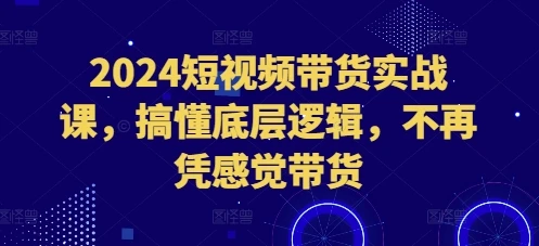 图片[1]-2024短视频带货实战课，搞懂底层逻辑，不再凭感觉带货-E六资源