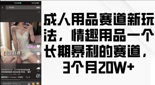 成人用品赛道新玩法，情趣用品一个长期暴利的赛道，3个月收益20个-E六资源