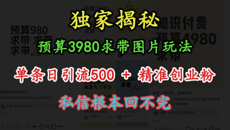 预算3980求带 图片玩法，单条日引流500+精准创业粉，私信根本回不完-E六资源