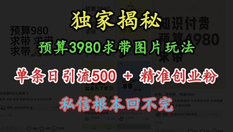 图片[1]-预算3980求带 图片玩法，单条日引流500+精准创业粉，私信根本回不完-E六资源