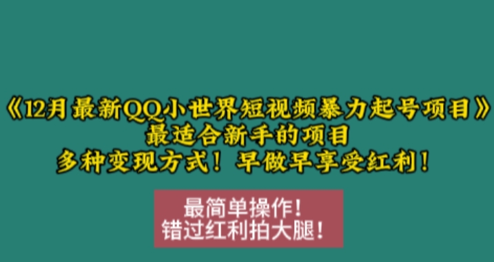 12月最新QQ小世界短视频暴力起号项目，最适合新手的项目，多种变现方式-E六资源