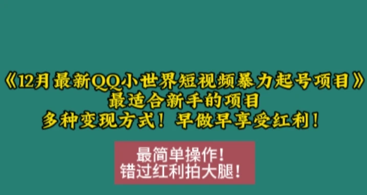 图片[1]-12月最新QQ小世界短视频暴力起号项目，最适合新手的项目，多种变现方式-E六资源