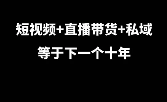 图片[1]-短视频+直播带货+私域等于下一个十年，大佬7年实战经验总结-E六资源