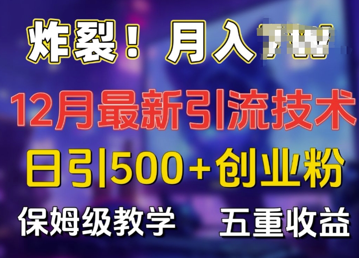 炸裂!揭秘12月最新日引流500+精准创业粉，多重收益保姆级教学-E六资源