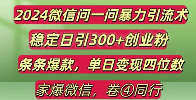 2024最新微信问一问暴力引流300+创业粉,条条爆款单日变现四位数-E六资源