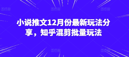 小说推文12月份最新玩法分享，知乎混剪批量玩法-E六资源