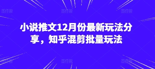 图片[1]-小说推文12月份最新玩法分享，知乎混剪批量玩法-E六资源