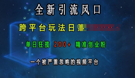 全新引流风口，跨平台玩法日入上k，单日狂揽200+精准创业粉，一个被严重忽略的视频平台-E六资源