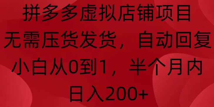 拼多多虚拟店铺项目，无需压货发货，自动回复，小白从0到1，半个月内日入200+-E六资源