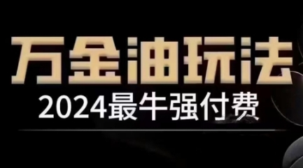 2024最牛强付费，万金油强付费玩法，干货满满，全程实操起飞（更新12月）-E六资源