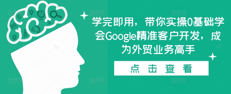 学完即用，带你实操0基础学会Google精准客户开发，成为外贸业务高手-E六资源