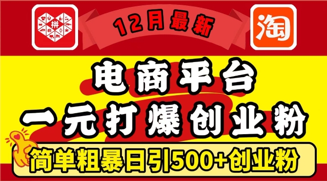 12月最新：电商平台1元打爆创业粉，简单粗暴日引500+精准创业粉，轻松月入过W-E六资源