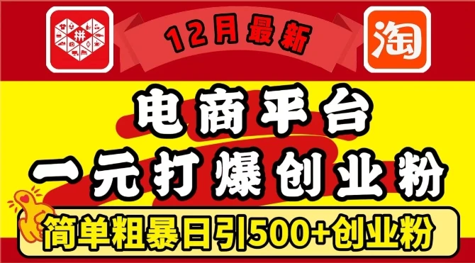 图片[1]-12月最新：电商平台1元打爆创业粉，简单粗暴日引500+精准创业粉，轻松月入过W-E六资源