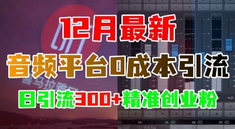 12月最新：音频平台0成本引流，日引流300+精准创业粉-E六资源