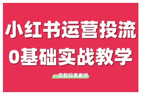 小红书运营投流，小红书广告投放从0到1的实战课，学完即可开始投放-E六资源