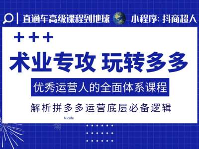 术业专攻玩转多多，优秀运营人的全面体系课程，解析拼多多运营底层必备逻辑-E六资源