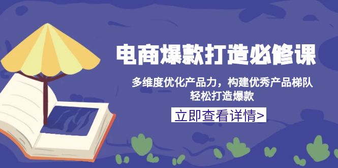 电商爆款打造必修课：多维度优化产品力，构建优秀产品梯队，轻松打造爆款-E六资源