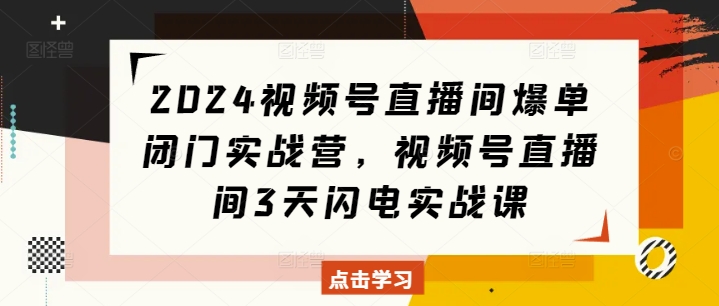 2024视频号直播间爆单闭门实战营，视频号直播间3天闪电实战课-E六资源