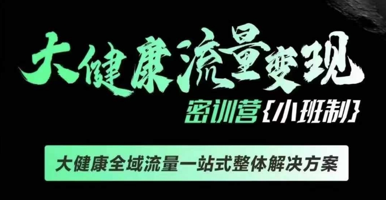 千万级大健康变现课线下课，大健康全域流量一站式整体解决方案-E六资源