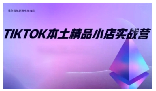 TikTok本土精品小店出海实战营，从入门到高阶，不止0-1!-E六资源