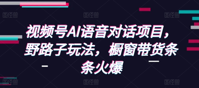 视频号AI语音对话项目，野路子玩法，橱窗带货条条火爆-E六资源