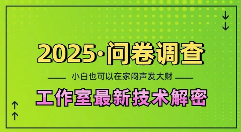 2025问卷调查最新工作室技术解密：一个人在家也可以闷声发大财，小白一天2张，可矩阵放大-E六资源