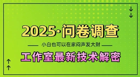 图片[1]-2025问卷调查最新工作室技术解密：一个人在家也可以闷声发大财，小白一天2张，可矩阵放大-E六资源