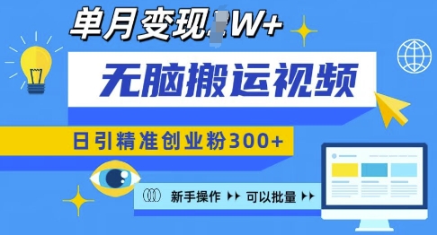 无脑搬运视频号可批量复制，新手即可操作，日引精准创业粉300+，月变现过W-E六资源