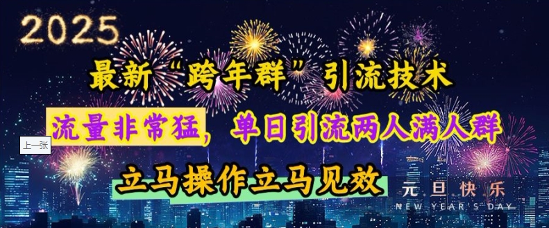 最新“跨年群”引流，流量非常猛，单日引流两人满人群，立马操作立马见效-E六资源