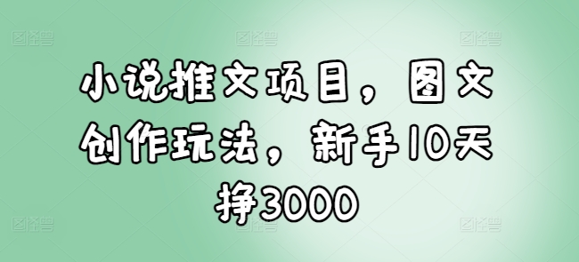 小说推文项目，图文创作玩法，新手10天挣3000-E六资源