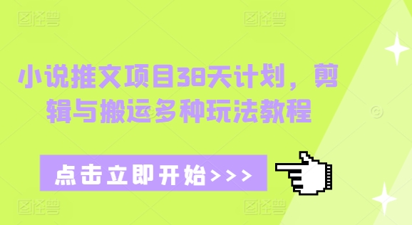 小说推文项目38天计划，剪辑与搬运多种玩法教程-E六资源