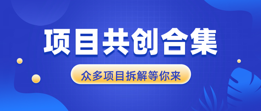 项目共创合集，从0-1全过程拆解，让你迅速找到适合自已的项目-E六资源