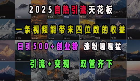 2025自热引流天花板，一条视频能带来四位数的收益，引流+变现双管齐下，日引500+创业粉，涨粉嘎嘎猛-E六资源