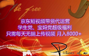 京东短视频带货代运营，学生党、宝妈党超级福利，只需每天无脑上传视频，月入8000+【仅揭秘】-E六资源