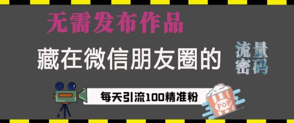 藏在微信朋友圈的流量密码，无需发布作品，单日引流100+精准创业粉-E六资源