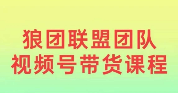 狼团联盟2024视频号带货，0基础小白快速入局视频号-E六资源