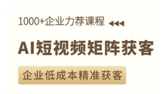 AI短视频矩阵获客实操课，企业低成本精准获客-E六资源