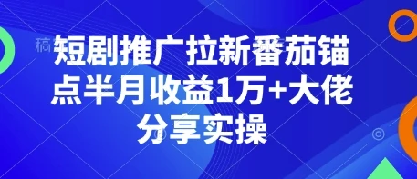 图片[1]-短剧推广拉新番茄锚点半月收益1万+大佬分享实操-E六资源