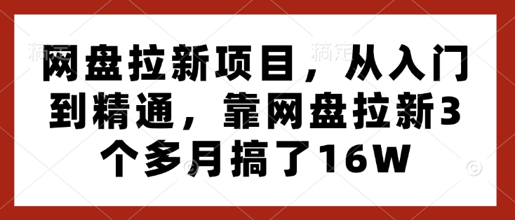 网盘拉新项目，从入门到精通，靠网盘拉新3个多月搞了16W-E六资源