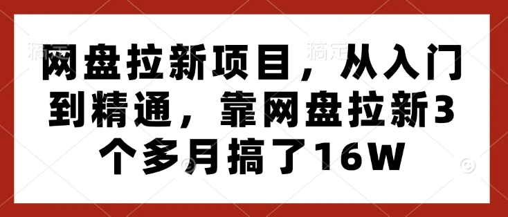 图片[1]-网盘拉新项目，从入门到精通，靠网盘拉新3个多月搞了16W-E六资源