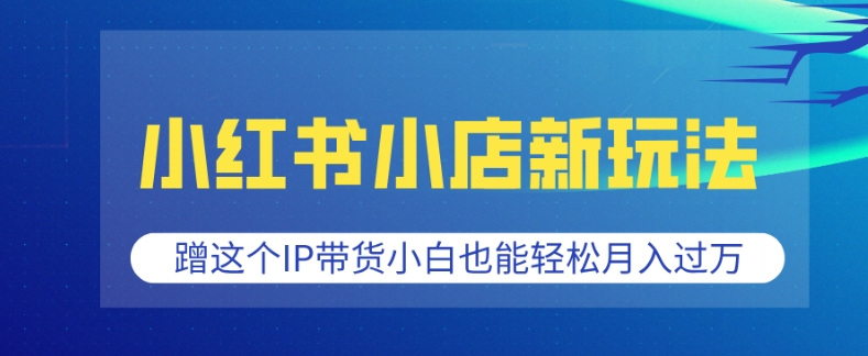 小红书小店新玩法，蹭这个IP带货，小白也能轻松月入过W-E六资源