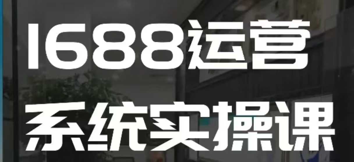 1688高阶运营系统实操课，快速掌握1688店铺运营的核心玩法-E六资源