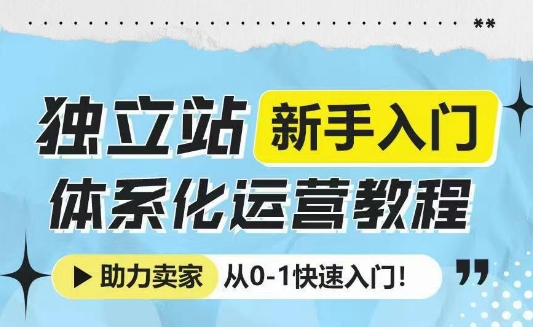 独立站新手入门体系化运营教程，助力独立站卖家从0-1快速入门!-E六资源