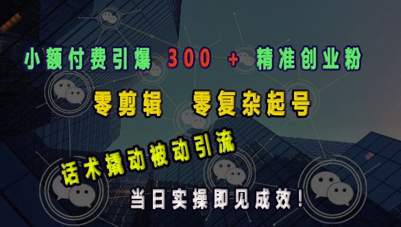 小额付费引爆 300 + 精准创业粉，零剪辑、零复杂起号，话术撬动被动引流，当日实操即见成效-E六资源